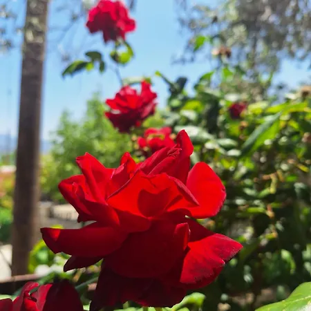 Casa de Férias Koukaki