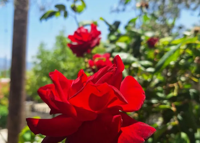 Prázdninový dům Koukaki